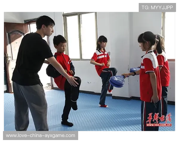 跆拳道少年脚法太快裁判看花